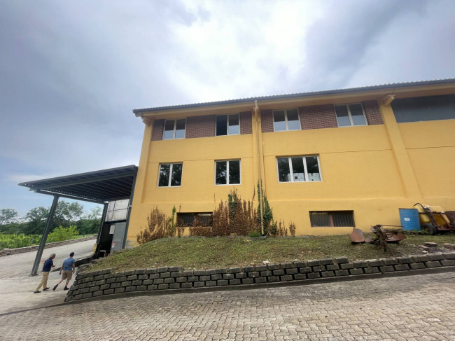 Azienda agricola in Vendita a Isola d'Asti