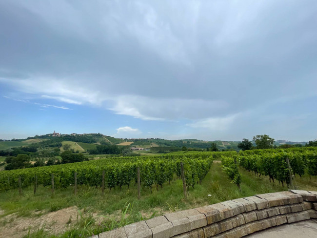 Azienda agricola in Vendita a Isola d'Asti