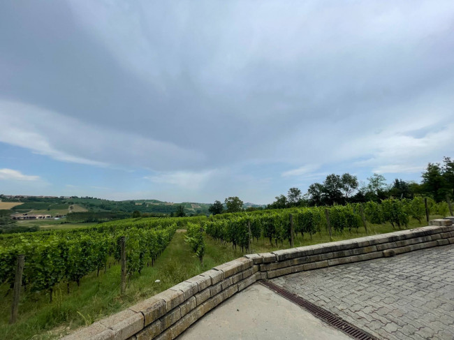 Azienda agricola in Vendita a Isola d'Asti