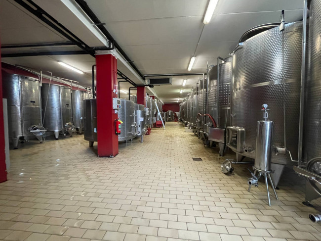 Azienda agricola in Vendita a Isola d'Asti