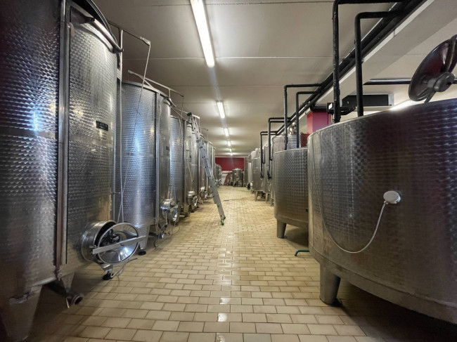 Azienda agricola in Vendita a Isola d'Asti