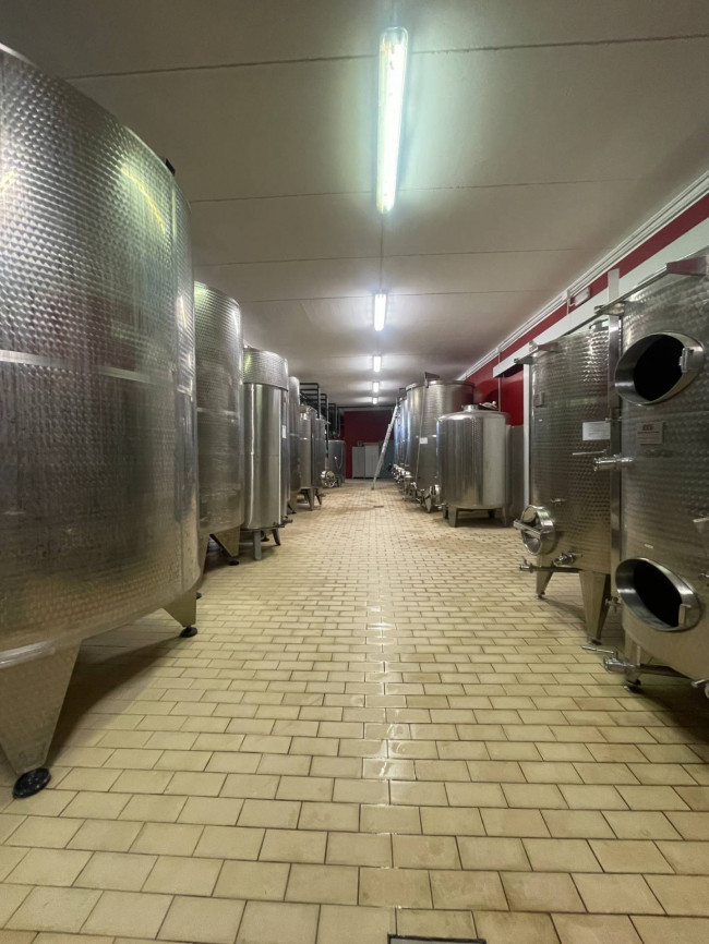 Azienda agricola in Vendita a Isola d'Asti