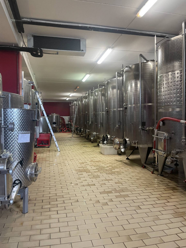 Azienda agricola in Vendita a Isola d'Asti