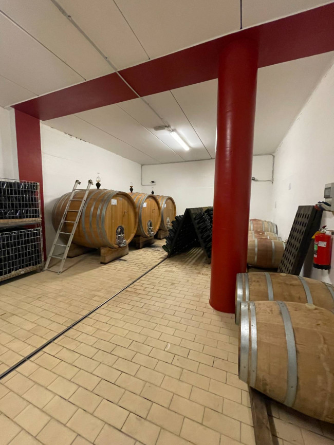 Azienda agricola in Vendita a Isola d'Asti