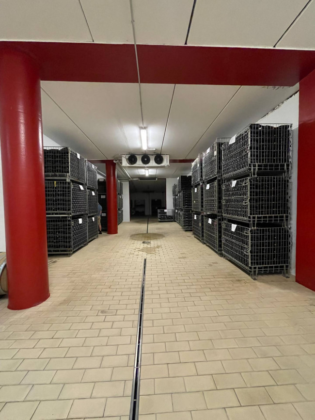 Azienda agricola in Vendita a Isola d'Asti