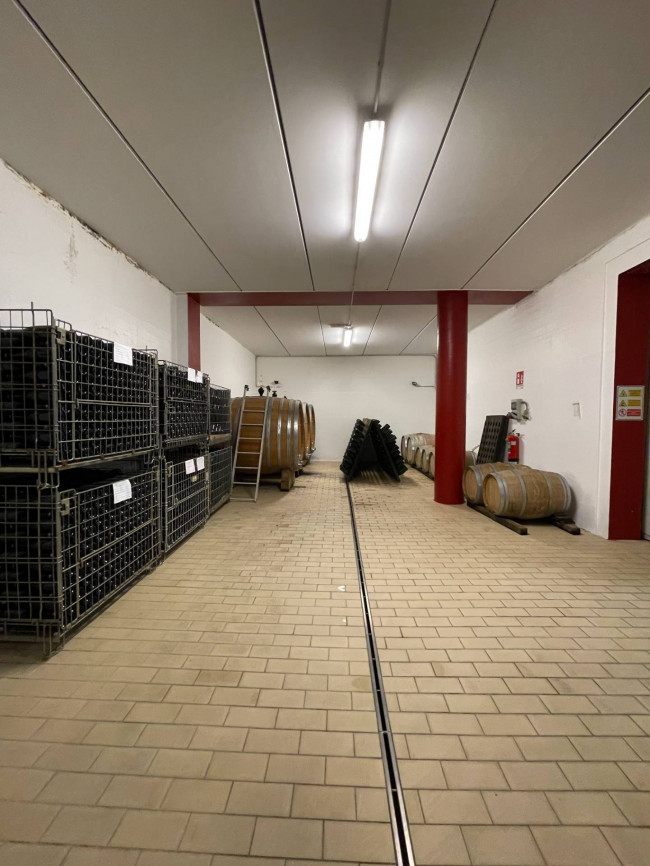 Azienda agricola in Vendita a Isola d'Asti