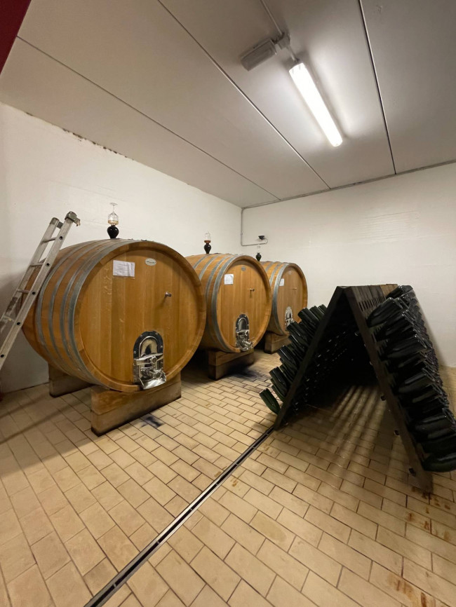 Azienda agricola in Vendita a Isola d'Asti