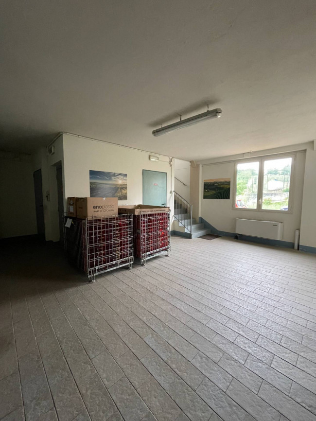 Azienda agricola in Vendita a Isola d'Asti