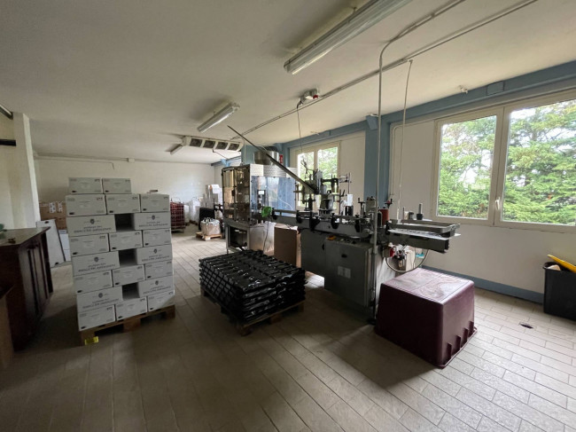 Azienda agricola in Vendita a Isola d'Asti