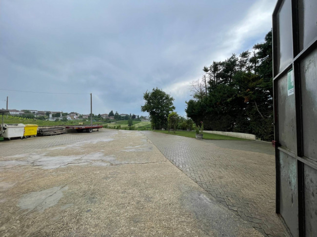 Azienda agricola in Vendita a Isola d'Asti