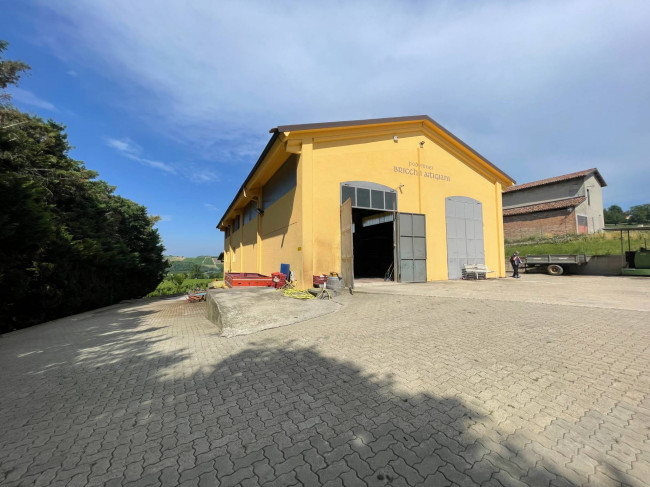 Azienda agricola in Vendita a Isola d'Asti