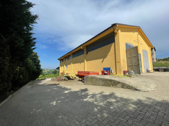 Azienda agricola in Vendita a Isola d'Asti