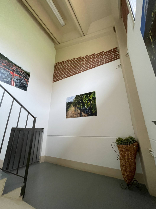 Azienda agricola in Vendita a Isola d'Asti