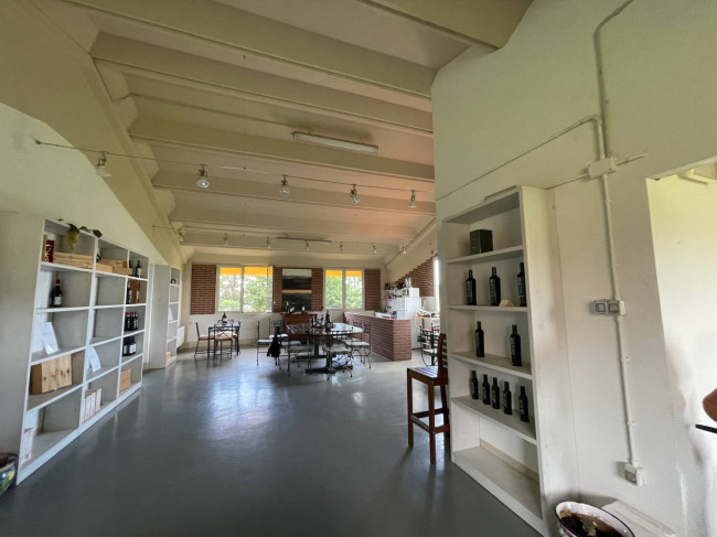 Azienda agricola in Vendita a Isola d'Asti