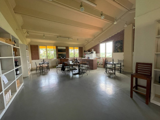 Azienda agricola in Vendita a Isola d'Asti