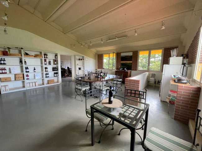 Azienda agricola in Vendita a Isola d'Asti