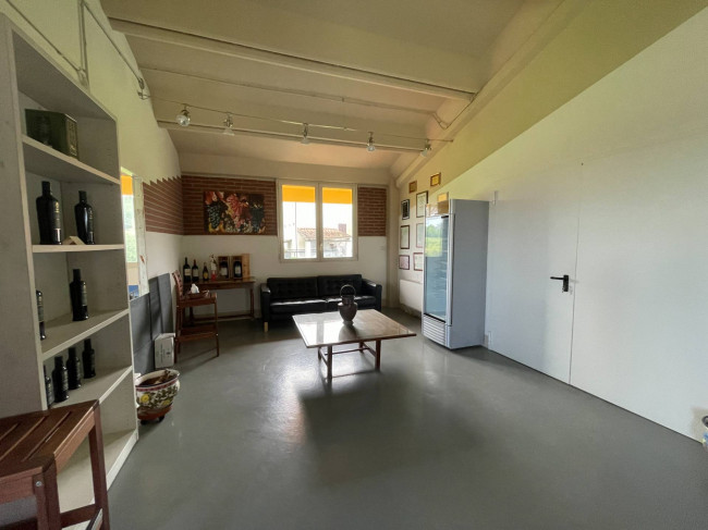 Azienda agricola in Vendita a Isola d'Asti