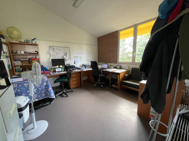 Azienda agricola in Vendita a Isola d'Asti