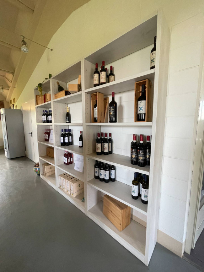 Azienda agricola in Vendita a Isola d'Asti