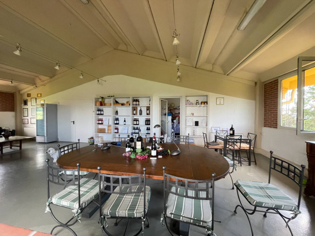 Azienda agricola in Vendita a Isola d'Asti