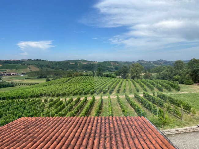 Azienda agricola in Vendita a Isola d'Asti