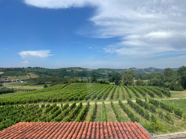 Azienda agricola in Vendita a Isola d'Asti