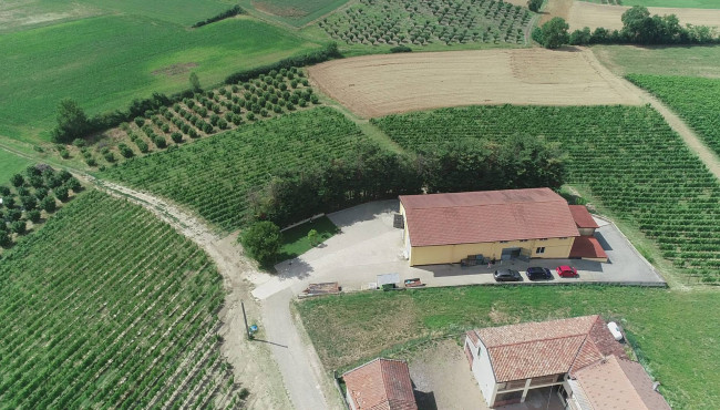 Azienda agricola in Vendita a Isola d'Asti