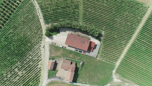 Azienda agricola in Vendita a Isola d'Asti