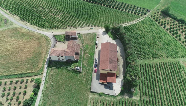 Azienda agricola in Vendita a Isola d'Asti