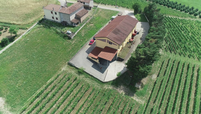 Azienda agricola in Vendita a Isola d'Asti