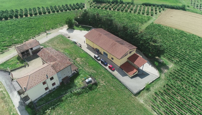 Azienda agricola in Vendita a Isola d'Asti