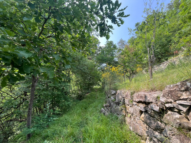 Casa indipendente in Vendita a Torre Bormida