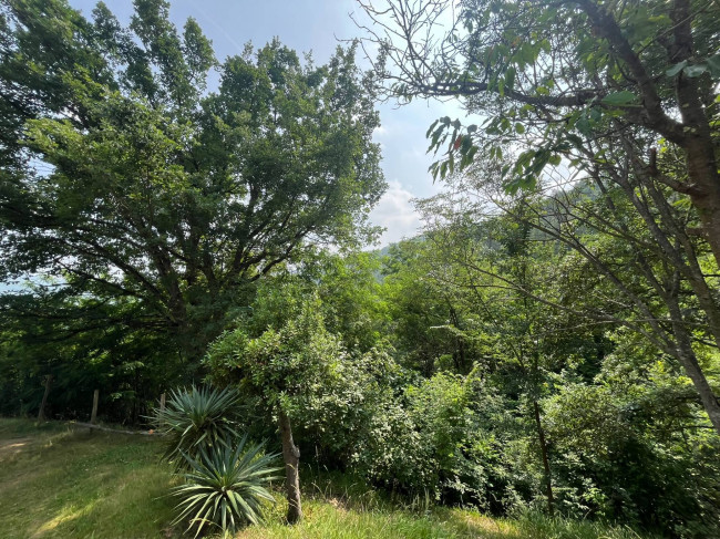 Casa indipendente in Vendita a Torre Bormida