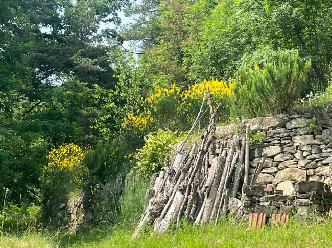 Casa indipendente in Vendita a Torre Bormida