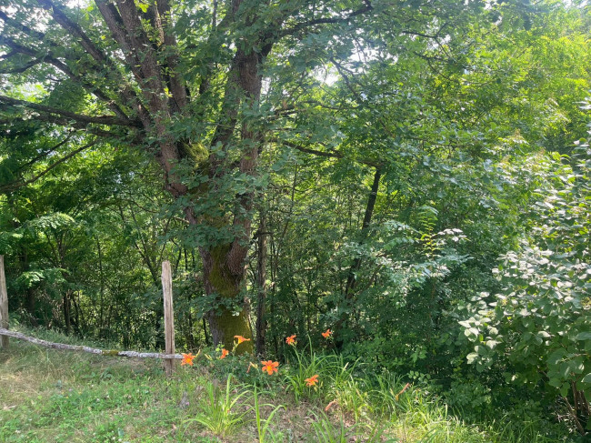 Casa indipendente in Vendita a Torre Bormida