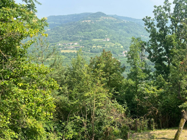Casa indipendente in Vendita a Torre Bormida