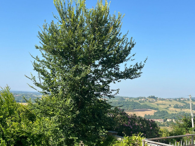 Porzione di casa in Vendita a Montiglio Monferrato