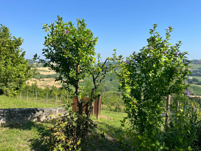 Porzione di casa in Vendita a Montiglio Monferrato