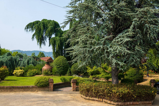 Albergo / Struttura ricettiva in Vendita a Pecetto Torinese