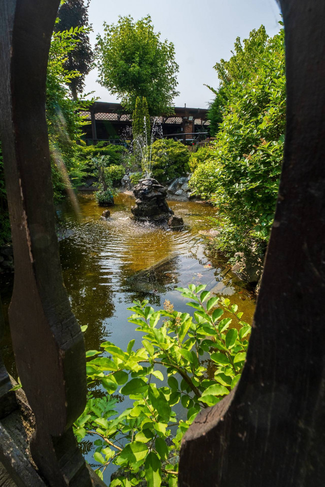 Albergo / Struttura ricettiva in Vendita a Pecetto Torinese