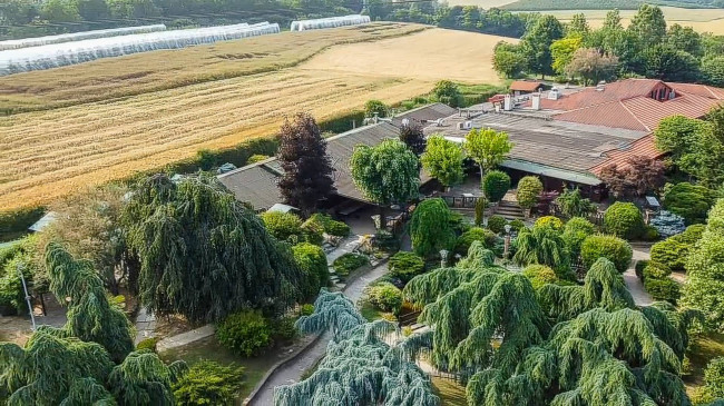 Albergo / Struttura ricettiva in Vendita a Pecetto Torinese