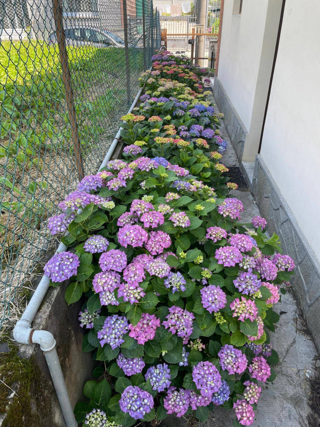 Casa indipendente in Vendita a San Damiano d'Asti