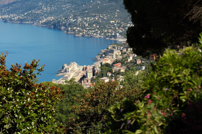 Rustico in Vendita a Camogli