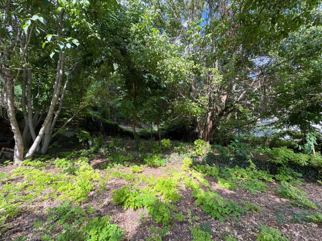 Cascina in Vendita a Montechiaro d'Asti