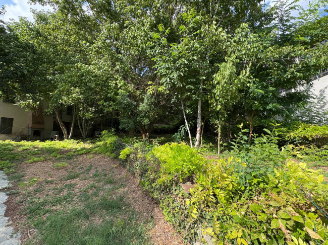 Cascina in Vendita a Montechiaro d'Asti