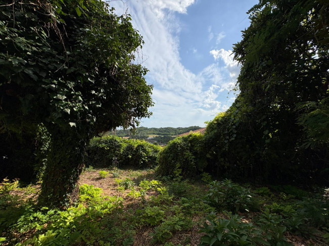 Cascina in Vendita a Montechiaro d'Asti