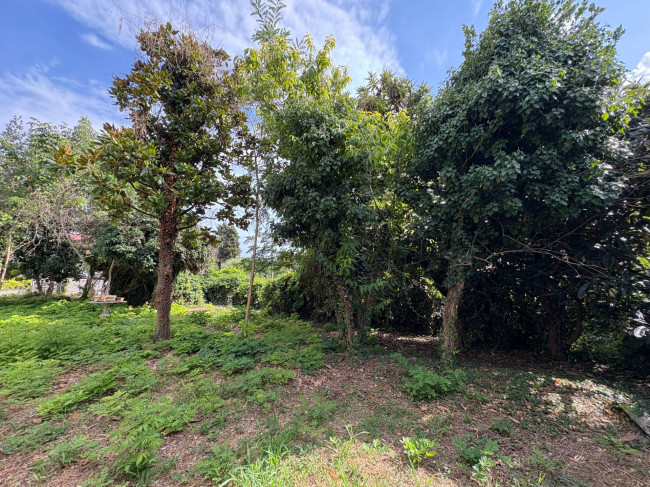 Cascina in Vendita a Montechiaro d'Asti