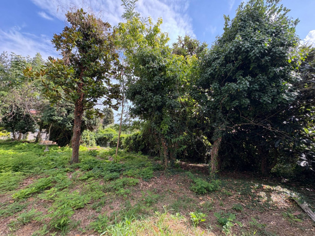 Cascina in Vendita a Montechiaro d'Asti