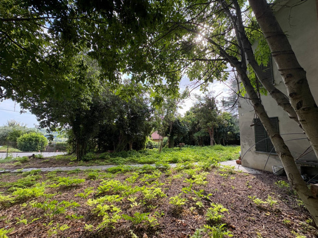 Cascina in Vendita a Montechiaro d'Asti
