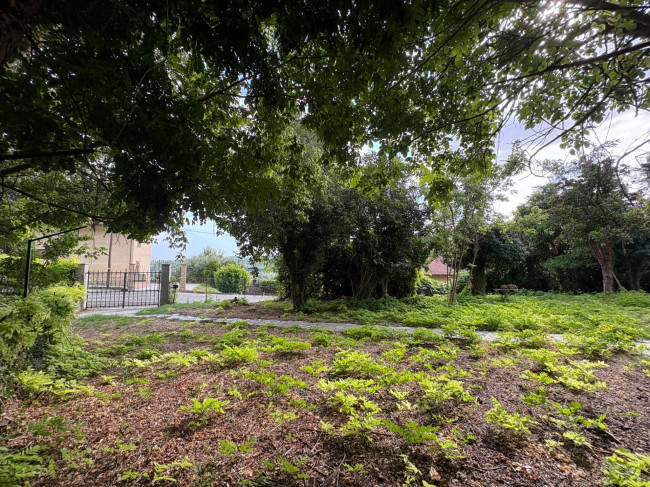 Cascina in Vendita a Montechiaro d'Asti